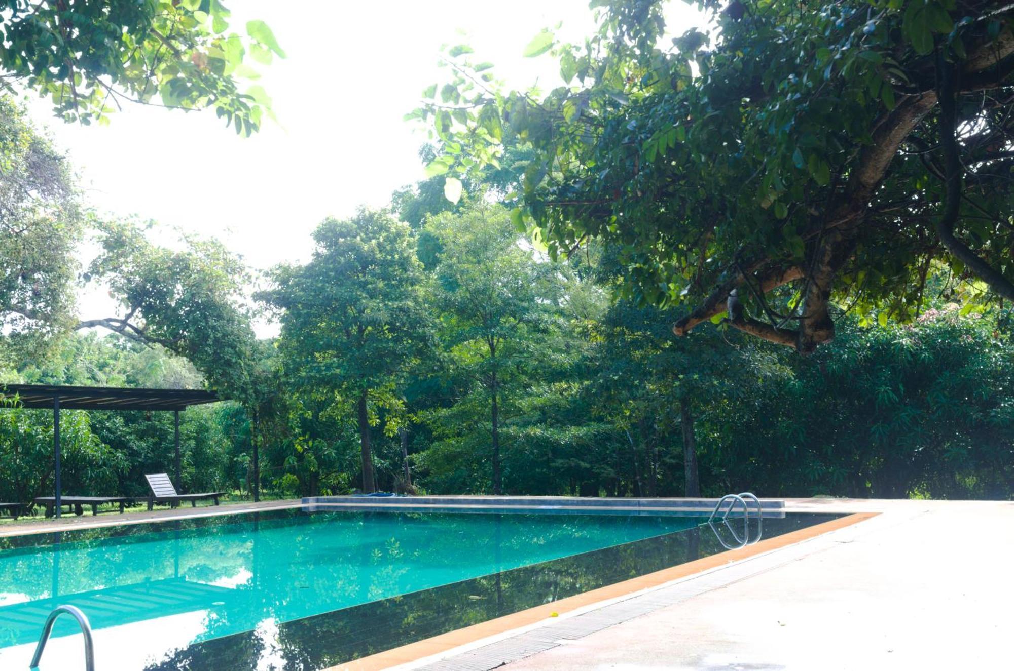 Pinthaliya Resort Сигирия Экстерьер фото