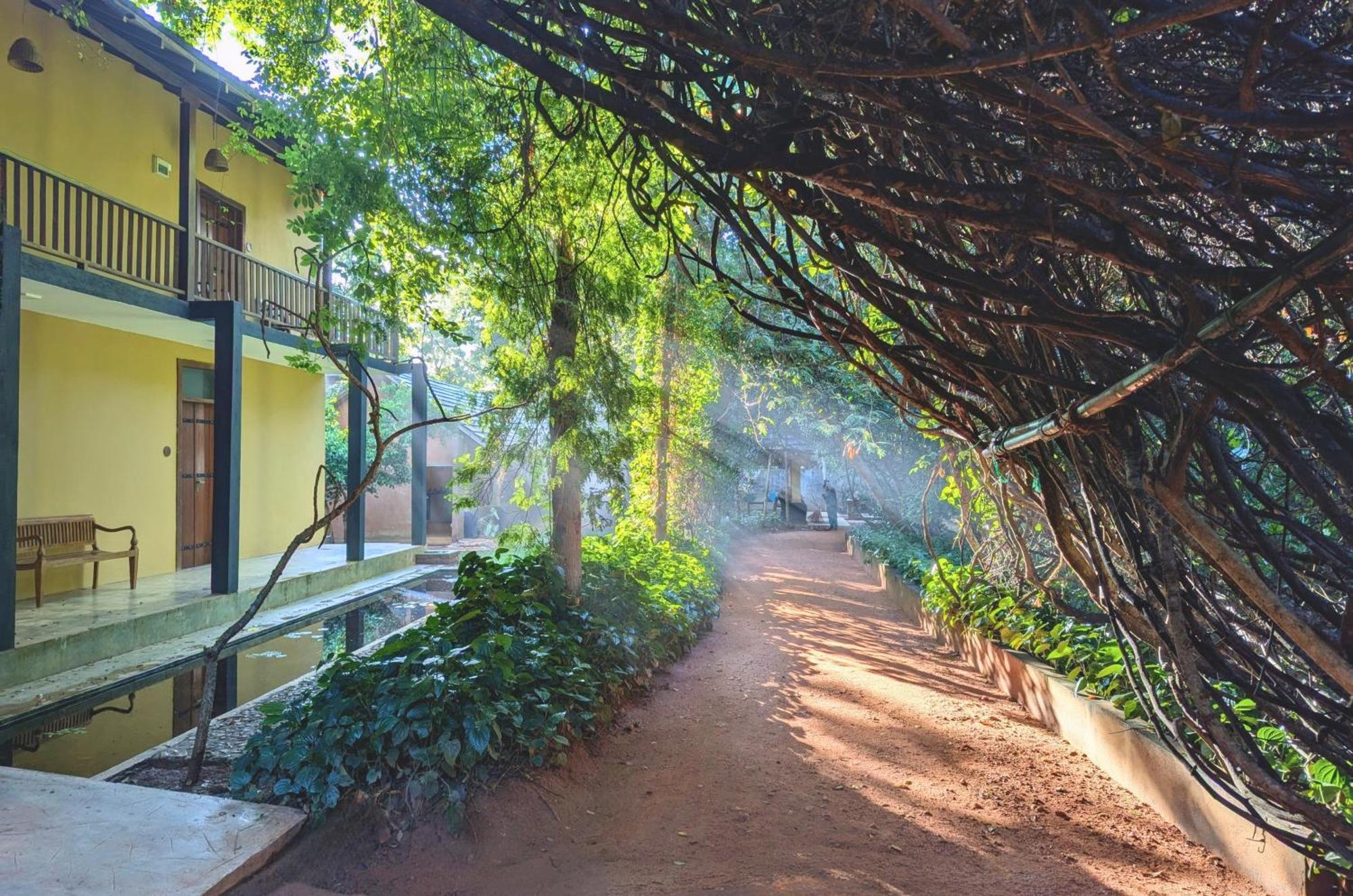 Pinthaliya Resort Сигирия Экстерьер фото