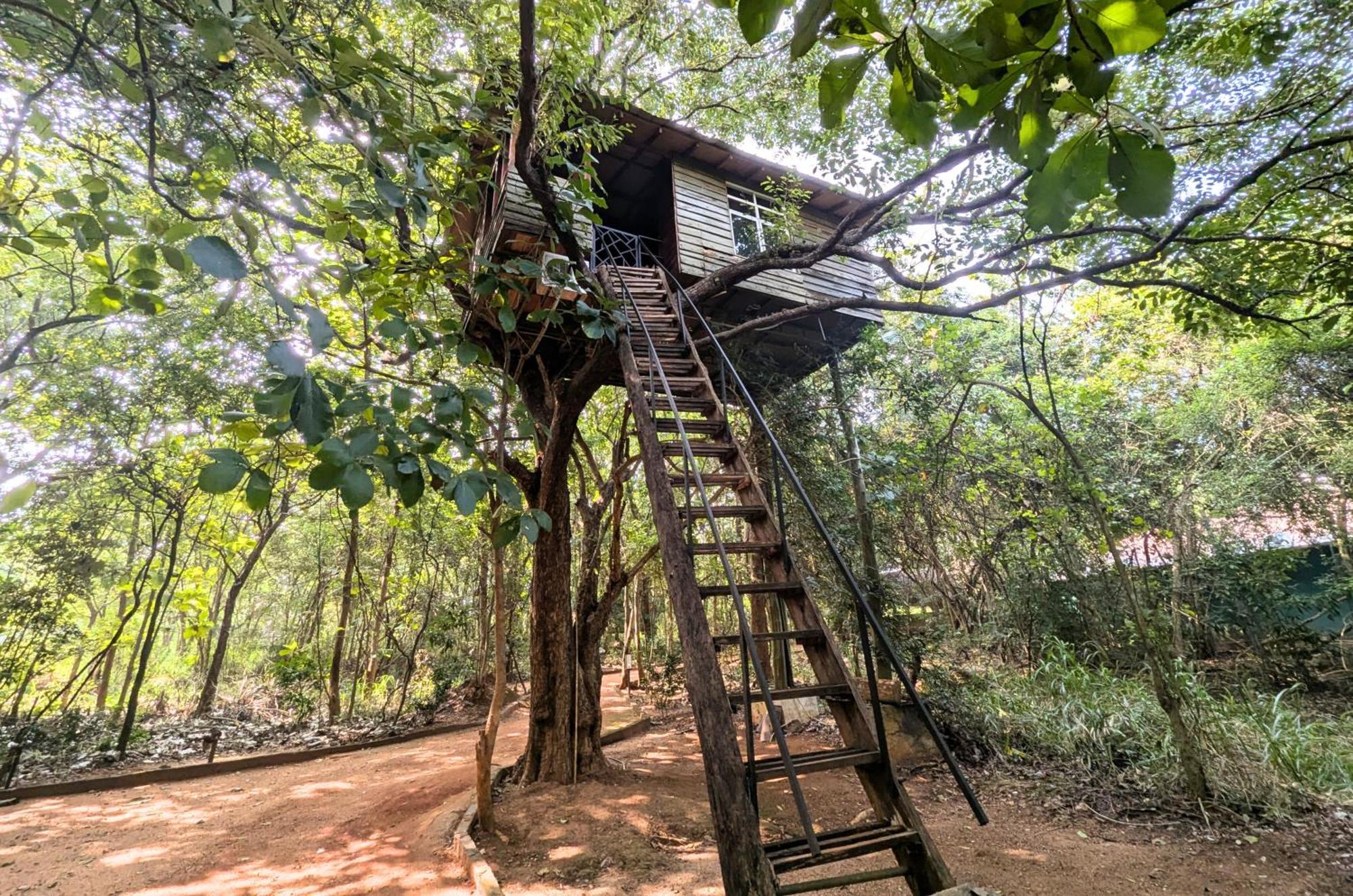 Pinthaliya Resort Сигирия Экстерьер фото